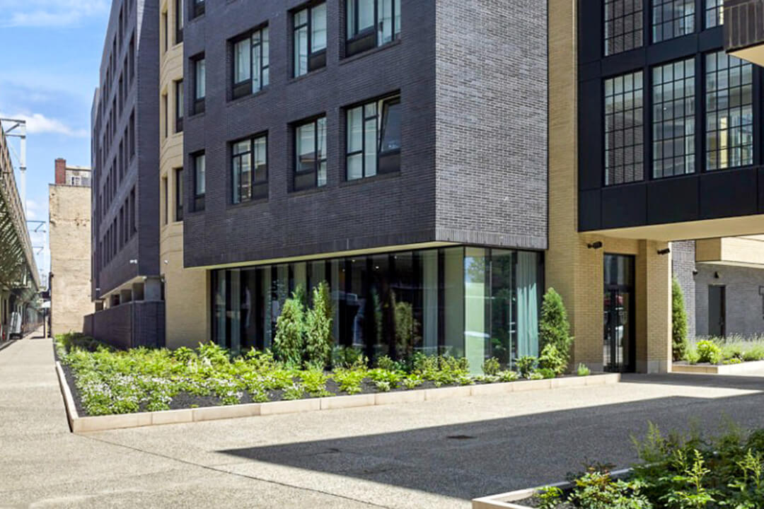 darien simpas live better 6