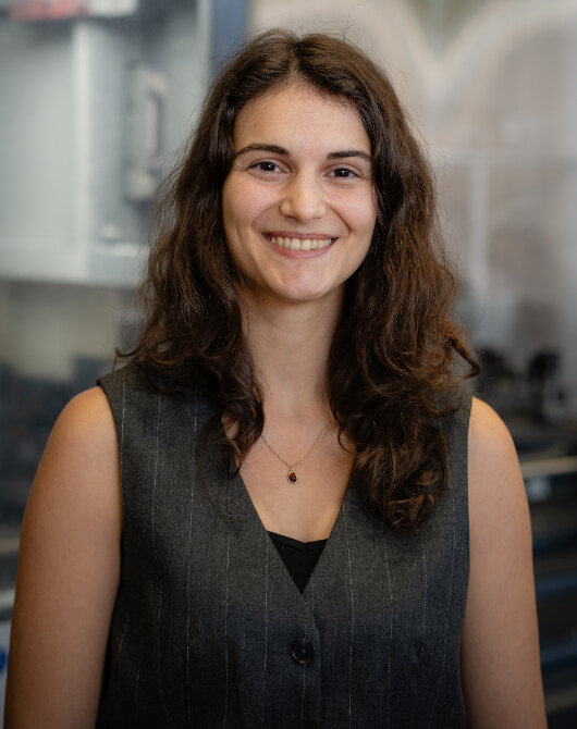 artemis georgopoulou
